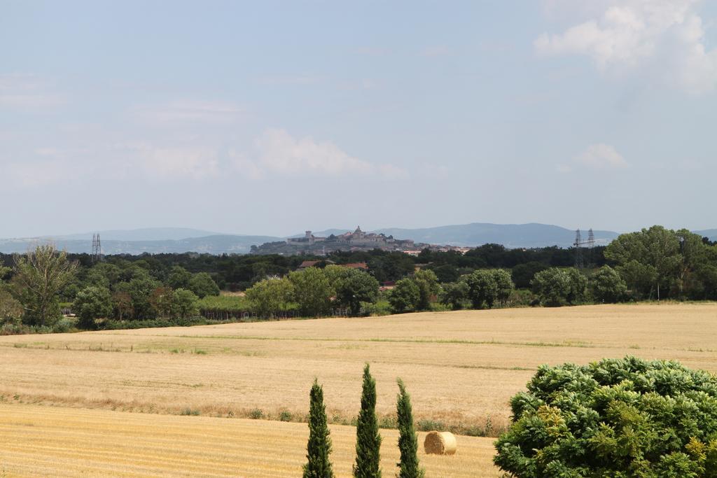 Agriturismo Verbena Кастильоне-дель-Лаго Экстерьер фото