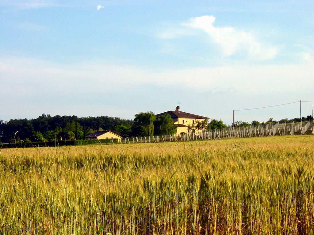 Agriturismo Verbena Кастильоне-дель-Лаго Экстерьер фото